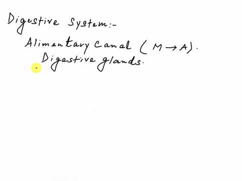 ais-the-liver-dorsal-or-ventral-to-the-stomach-bis-the-gallbladder-superior-or-inferior-to-the-esophagus-cwhat-digestive-organ-is-the-duodenum-a-part-of-dwhat-is-the-initial-part-of-the-larg-39313