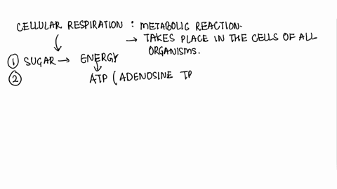 which-of-the-following-is-true-of-cellular-respiration-but-not-of-photosynthesis-cellular-respiration-releases-energy-from-glucose-cellular-respiration-releases-oxygen-gas-as-a-product-cellu-63568