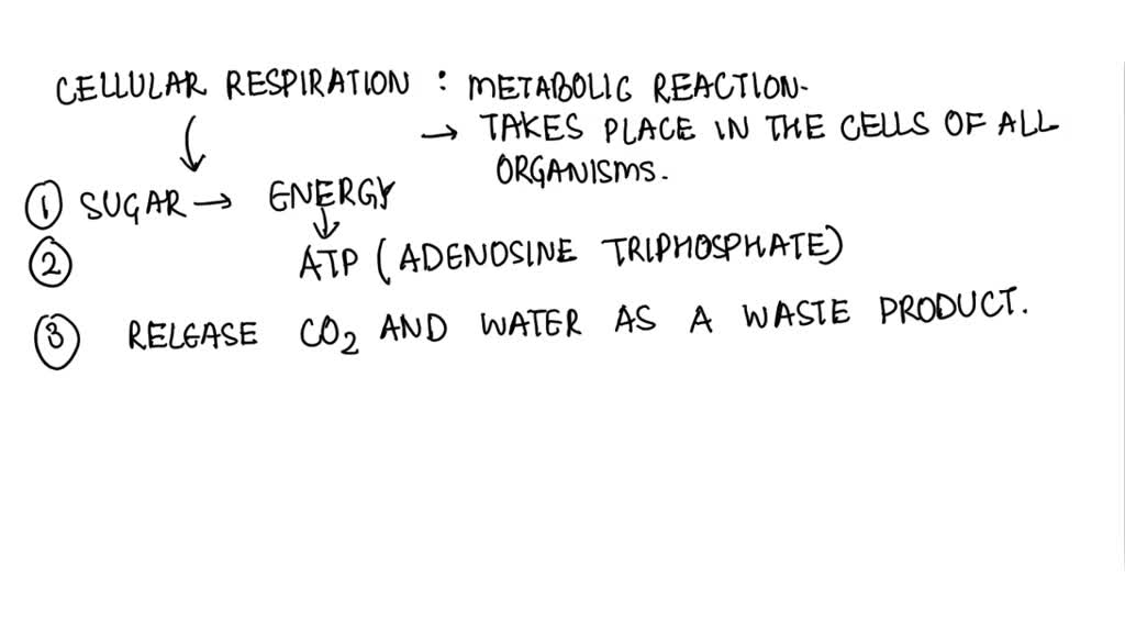 Which Of The Following Statements Regarding Metabolism Is False SOLVED: Which of the following statements regarding cellular
