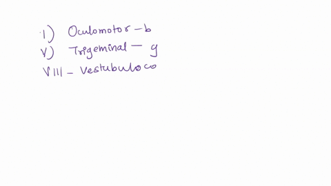 cranial-nerves-in-review-match-the-following-identify-each-cranial-nerve-by-its-designated-roman-numeral-column-a-______-oculomotor-______-trigeminal-______-vestibulocochlear-______trochlear-98524