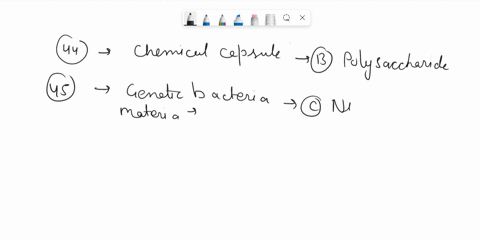 44chemicallythe-capsule-may-be-apolypeptide-bpolysaccharide-ceither-a-or-bd-none-of-these-45the-location-where-the-bacterial-chromosome-concentrates-within-the-cell-is-called-anucleus-bnucle-81137