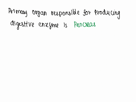 what-produces-chemicals-such-as-digestive-enzymes-that-help-digest-food-13542