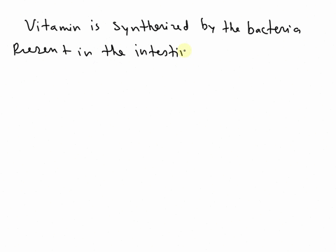 21-1104-10-docsgooglecomforms-16-vitamin-is-synthesized-by-the-bacteria-present-in-the-intestine-c-a-b1-o-b-b6-o-c-b12-o-d-b3-this-is-a-required-question-33731