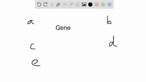 modification-of-the-5-cap-of-mrna-is-an-example-of-regulation-at-the-level-of-a-alternative-splicing-b-transcription-c-translation-d-methylation-e-protein-stability-a-gene-can-be-defined-as-37508