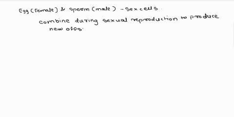 how-might-sperm-be-affected-if-nondisjunction-occurs-in-a-male-sperm-will-not-be-able-to-fertilize-an-egg-sperm-will-contain-only-y-chromosomes-o-sperm-will-contain-an-x-chromosome-and-a-y-c-63379