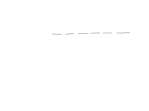 this-word-denotes-order