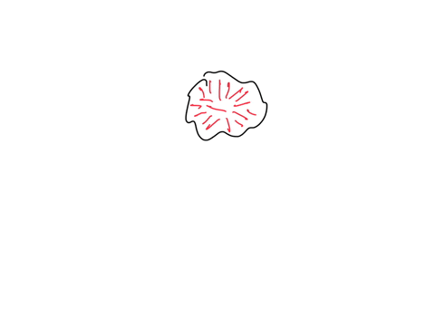 question-6-of-10-higher-levels-of-neural-activity-is-probably-responsible-for-a-consciousness-b-the-unconscious-mind-c-attention-d-preconscious-activity-submit