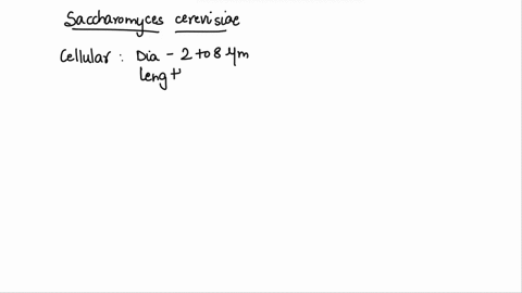 describe-the-micro-and-macro-morphological-characteristics-of-the-species-saccharomyces-cerevisiae-36316
