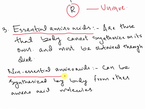 chapter-6-review-questions-on-protein-1-whats-different-about-the-protein-molecule-compared-to-carbs-and-or-fat-2-define-amino-acids-3-whats-the-difference-between-essential-amino-acids-and-72455