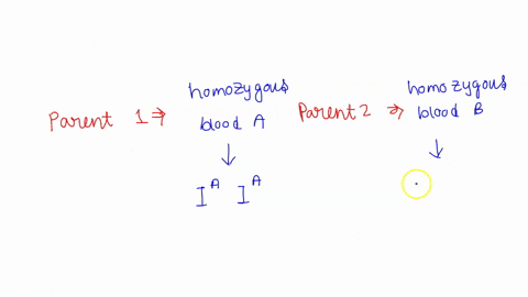 a-child-would-likely-to-have-this-blood-type-if-both-of-the-parents-is-homozygous-for-blood-type-a-and-blood-type-ba-ab-bc-abd-o-70707