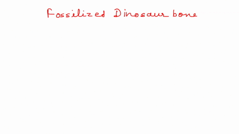 if-you-found-fossilized-dinosaur-bone-what-could-be-done-to-accurately-determine-the-age-of-the-fossil-look-at-pieces-of-the-bone-under-a-microscope-extract-and-sequence-dna-from-the-bone-an-69905
