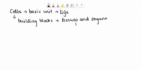 explain-why-cells-dont-just-continue-to-grow-larger-as-organisms-grow-larger-87635