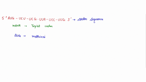 what-amino-acid-sequence-will-be-generated-based-on-the-following-mrna-codon-sequence-s-aug-ucu-acu-uua-ggu-gua-uaaj-second-base-uuu-phe-ucu-uau-tyr-ugu-cys-uuc-ucc-uac-ugc-ser-uua-uca-uaa-u-81631