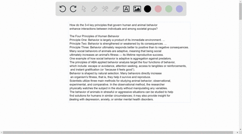 how-do-the-3-4-key-principles-that-govern-human-and-animal-behavior-enhance-interactions-between-individuals-and-among-societal-groups-68882