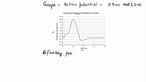 on-the-graph-below-the-part-of-an-action-potential-that-occurs-between-05-ms-and-10-ms-is-best-described-as-the-changes-in-memhrane-potential-of-a-neuron-tmc-79-refractory-perioo-which-when-19416