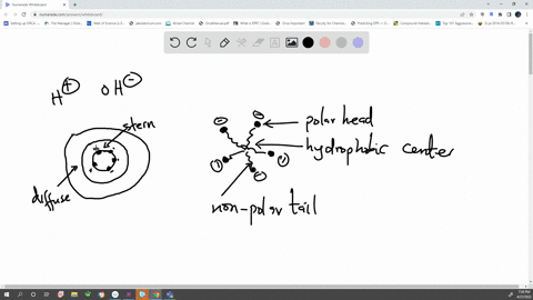 describe-how-hydrophilic-and-hydrophobic-colloids-are-stabilized-in-water-8-05807