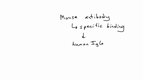 humanized-antibodies-are-currently-being-used-as-therapeutic-agents-for-a-number-of-infectious-diseases-autoimmune-diseases-and-inflammatory-diseases-these-antibodies-are-often-generated-by-17246