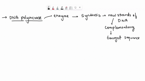 the-polymerase-chain-reaction-or-pcr-allows-us-to-make-many-copies-of-targeted-regions-of-the-genome-for-number-of-different-downstream-applications-in-this-projecl-obtain-you-are-pcr-amplif-10083