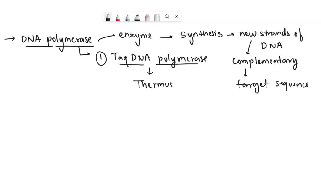 SOLVED: 'The polymerase chain reaction or PCR, allows US to make many ...