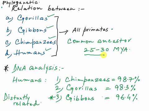 comparing-multiple-phylogenies-redraw-the-tree-from-each-of-the-three-studies-illustrated-in-the-figures-so-that-you-include-gnly-the-relationships-supported-between-the-following-groups-chi-00829