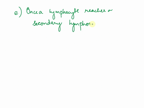 which-of-the-following-statements-regarding-the-lymphoid-organs-is-not-true-a-the-primary-lymphoid-organs-are-the-bone-marrow-and-thymus-b-the-thymus-secretes-protein-hormones-collectively-c-16509