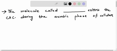 the-molecule-called-_____-enters-the-citric-acid-cycle-during-the-aerobic-phase-of-cellular-respirationa-oxygen-b-pyruvic-acidc-glucose-d-acetyl-coa-51168