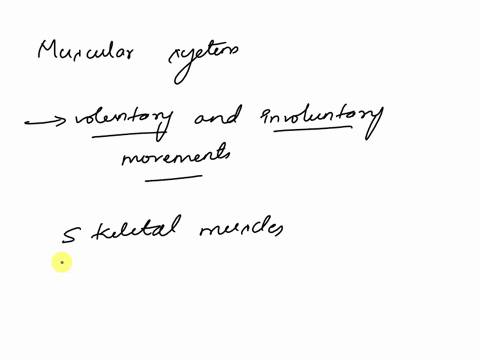 which-organ-system-is-responsible-for-enabling-movement-and-helping-to-maintain-body-temperature-a-muscular-system-b-nervous-system-c-cardiovascular-system-d-skeletal-system-15112