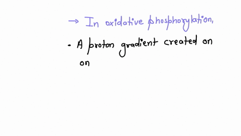 which-of-the-following-is-the-best-definition-of-oxidative-phosphorylation-a-electrons-are-passed-through-a-series-of-carriers-to-nad-a-proton-gradient-created-on-one-side-of-a-membrane-elec-77217