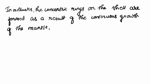 aeoccdaet-aboccdt3t-aabbil-aabbcd-spncine-hea1-happlua-horuu-the-concentric-rings-on-the-shells-of-mollusks-are-referred-to-s-growth-rings-which-part-of-the-shell-do-you-suppose-forrns-first-78088