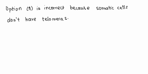 which-of-the-following-is-not-true-regarding-the-actions-of-the-enzyme-telomerase-its-activity-is-present-in-all-cells-at-equal-levels-it-catalyzes-the-lengthening-of-telomeres-its-activity-83152