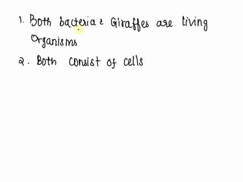 what-do-bacteria-and-giraffes-have-in-common-38032