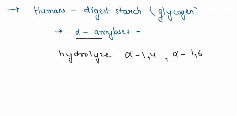 question-39-2-pts-39-though-it-is-made-by-plant-cells-humans-can-digest-starch-because-starch-is-only-made-in-short-polymers-that-do-not-require-extensive-digestion-starch-monomers-are-joine-01198