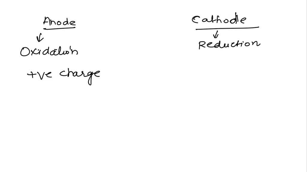 SOLVED What happens at the anode and the cathode of an electrochemical