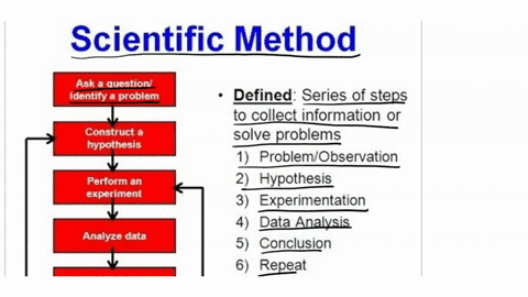 steps-that-occur-in-the-scientific-process-are-listed-below-what-is-the-correct-order-in-which-the-steps-should-occur-put-them-in-order-a-conduct-an-experiment-b-draw-a-conclusion-c-make-an-64892