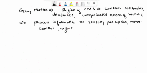 question1-1pts-which-of-the-following-statements-accurately-compares-gray-matter-and-white-matter-o-gray-matter-passes-information-up-and-down-the-spinal-cord-whereas-white-matter-processes-11225