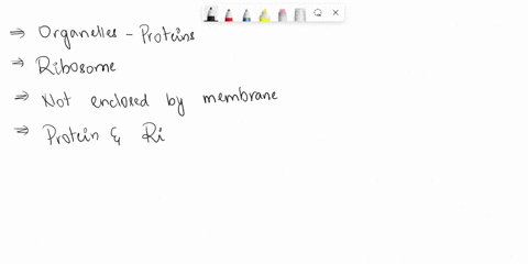 which-organelle-makes-the-proteins-that-are-needed-by-the-cell-77905