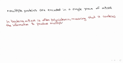 bacterial-mrna-is-often-polycistronic-this-means-_______-group-of-answer-choices-multiple-promoter-regions-are-needed-to-start-transcription-of-the-mrna-multiple-rna-polymerases-are-required-to-conduc