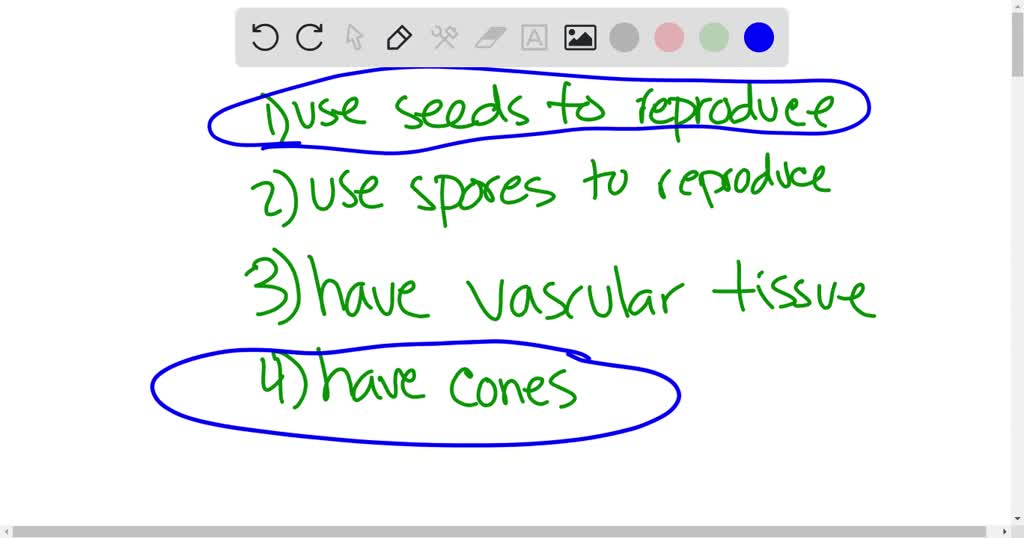 SOLVED What characteristics apply to gymnosperms? (Choose all that