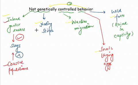 which-of-the-following-is-not-an-example-of-a-genetically-based-behavior-a-inland-garter-snakes-do-n-43889
