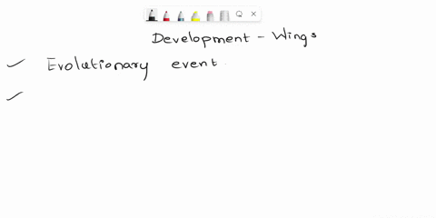 question-6-2pts-the-development-of-wings-in-the-phylogeny-you-may-have-completed-previously-was-an-important-evolutionary-event-compared-to-similar-structures-in-other-organismssuch-as-birds-28129