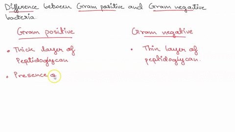 list-two-differences-between-gram-positive-gram-negative-bacteria-and-give-two-examples-of-each-type-of-bacteria-84857