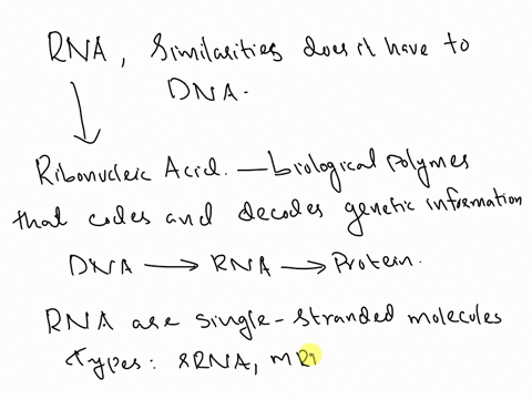 what-is-rna-what-similarities-does-it-have-to-dna-61823