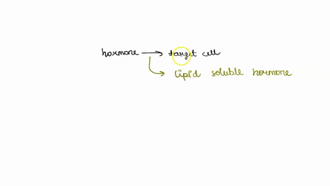 what-type-of-hormones-enter-their-target-cells-a-steroidhormones-b-peptide-hormones-c-both-of-the-above-d-noneoftheabove-57328