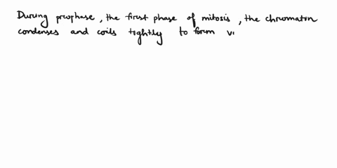 identify-the-phase-in-mitosis-in-which-the-chromatin-condenses-into-chromosomes-select-one-a-telophase-b-anaphase-c-prophase-d-metaphase-74303