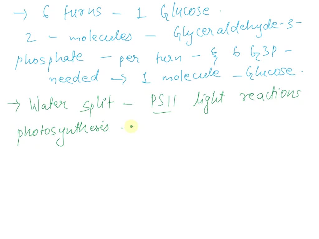 How Many Turns Of Calvin Cycle For One Glucose