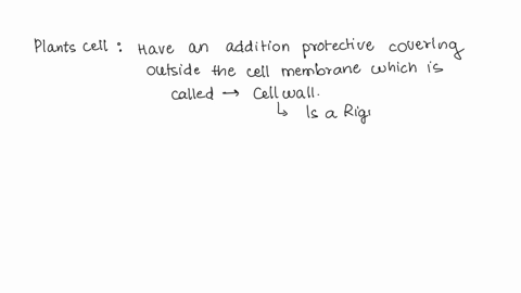 is-the-following-sentence-true-or-false-the-cell-wall-lies-inside-the-cell-membrane-78508