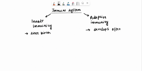 question-29-1p-which-property-of-the-adaptive-immune-system-describes-the-variable-response-to-different-antigens-o-memory-o-tolerance-ospecificity-35217