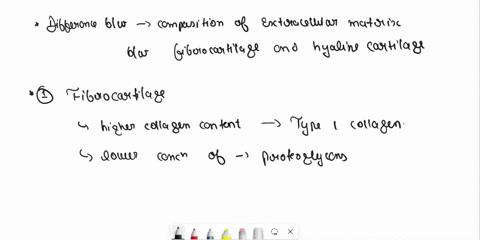 histology-of-cartilaginous-tissue-please-see-the-two-samples-of-cartilaginous-tissue-belowfibrocartllage-and-hyaline-cartilage-in-each-imageplease-label-a-lacunaa-chondrocyte-and-the-extrace-68405