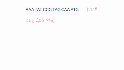 If the dna sequence is aaa tat ccg tag caa atg write the...