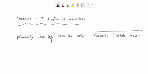 various-forms-of-upper-body-pulling-motions-and-specifically-horizontal-abduction-movements-primarily-work-which-shoulder-muscle-a-anterior-deltoid-b-lateral-deltoid-c-posterior-deltoid-d-up-20053